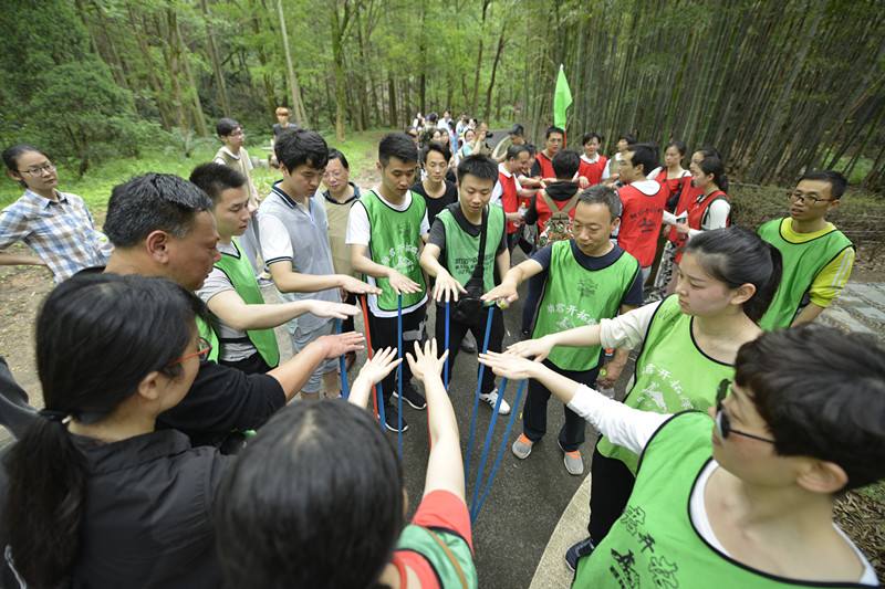 “不倒森林”拓展训练项目让团队学会反省自我