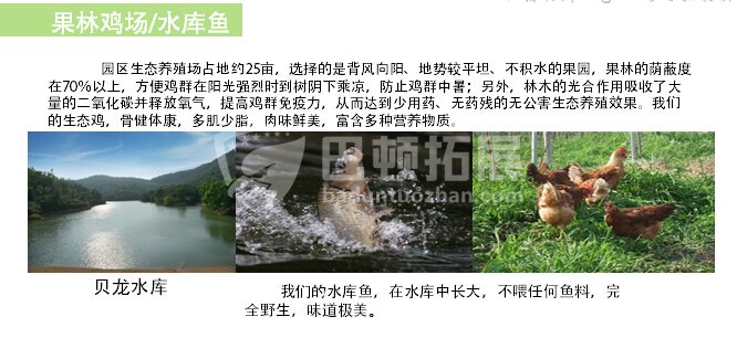 科普特户外拓展训练基地