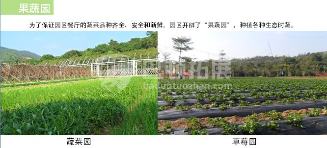 科普特户外拓展训练基地